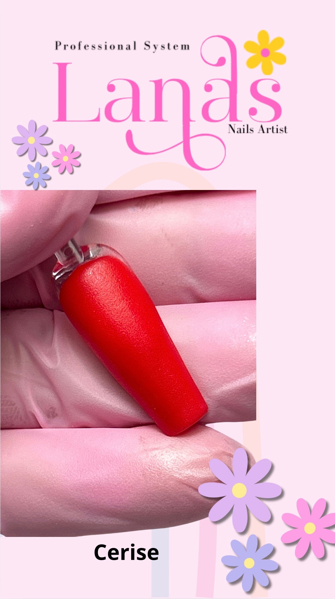 Acrílicos Profesionales